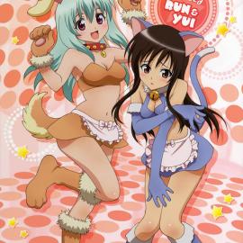 [To love ru]2009精美年历大图赏