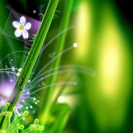 Rajkumar Karthika Remanan CG作品欣赏