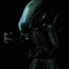 波兰 OmeN2501 CG欣赏