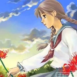 精美卡通：陆原一树专辑