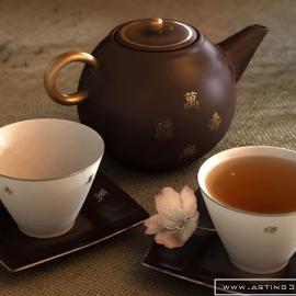 Olga Antonenko的3D作品欣赏