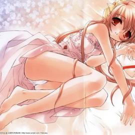 《INs WorkShop》忘忧草精美画册