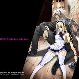 《月光karunevare》华丽官方壁纸