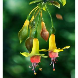 Xu Fei CG作品欣赏