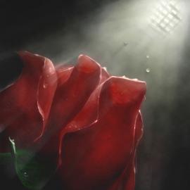 美国插画师Kalomus CG作品