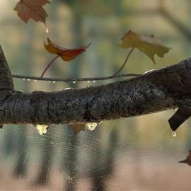 国外优秀CG作品欣赏