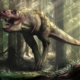 克罗地亚Stjepan ejić 作品欣赏三