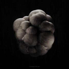 来自葡萄牙的CG作品欣赏 二