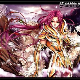 圣斗士神圣传说华丽极美壁纸