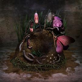 来自葡萄牙的CG作品欣赏 一