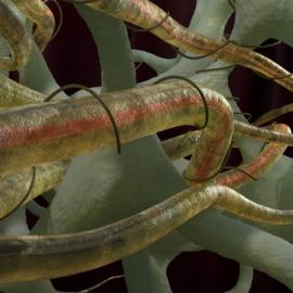 Werner Pansegrau的玛雅作品欣赏