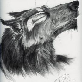 Timothy Albee 动物CG作品欣赏(一)