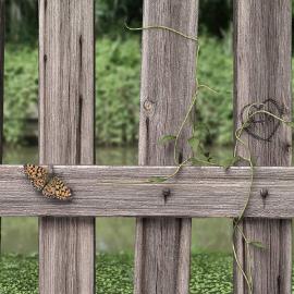 德国froyd CG作品-----