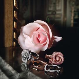 当玫瑰遇上Dior，绝美的Dior高级珠宝赏析