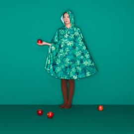 Kenichi Matsumoto 树的雨衣