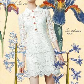 Dolce&Gabbana 2014春夏look插画版