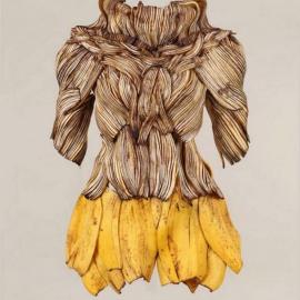 蔬菜组成的漂亮服装