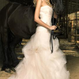 2011秋季Jenny Lee 婚纱礼服系列