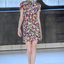 【LONDON】2010春季女装成衣――Erdem