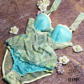 2008ELYPRY春夏内衣发布会