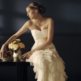 model novias 塔式复古婚纱