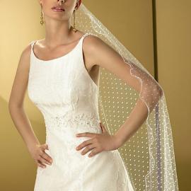 jose luis 2008婚纱