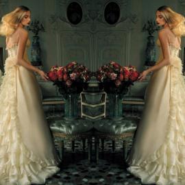 层层“荷叶” 演绎柔情款款