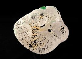 台湾“富御珠宝”真开眼