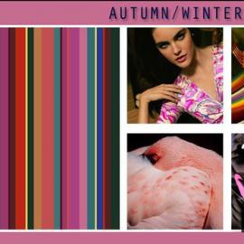 2007/2008法国流行色更新