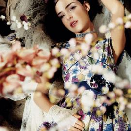 韩国bloomsbury的贵族气质