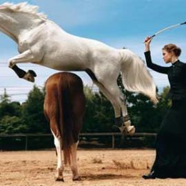 时装大片A Grand Affair