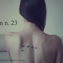 Room n. 23