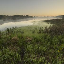 Denis Bodrov 自然美景