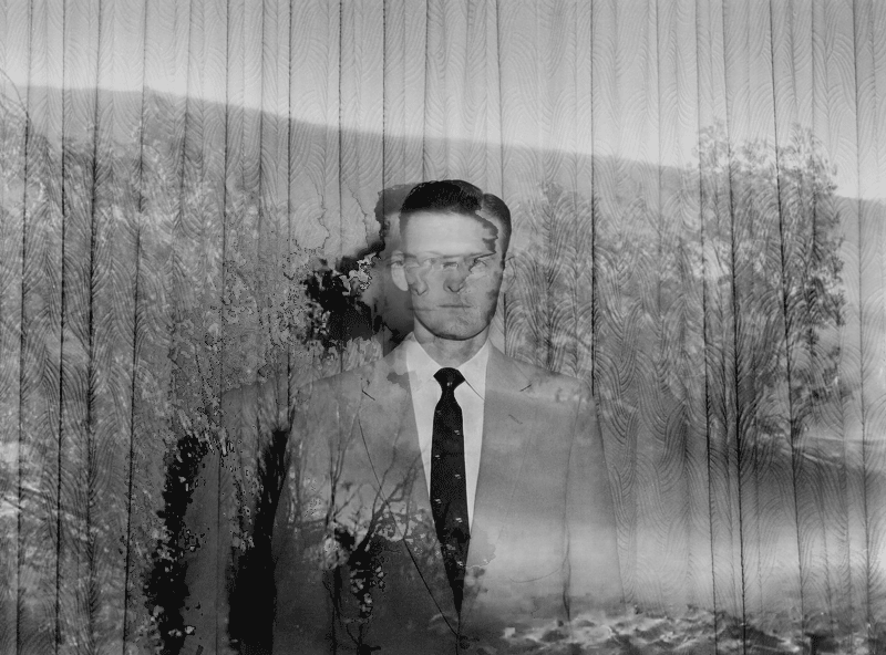 坠入bill domonkos怪诞的黑色梦中