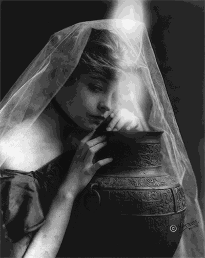 坠入bill domonkos怪诞的黑色梦中