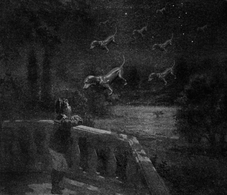 坠入bill domonkos怪诞的黑色梦中