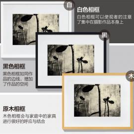 为家中挂张照片 影像收藏与家居装饰指南