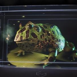 裸眼3D打造的数码相框